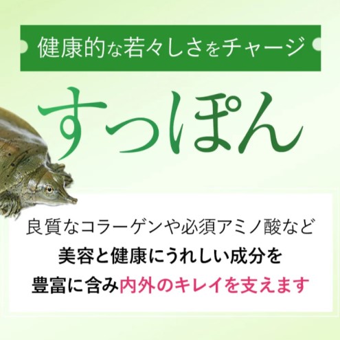 サプリ ベルタエクリズム 1袋 GABA 国内製造 マルチ サプリメント ※配送不可:沖縄県、離島