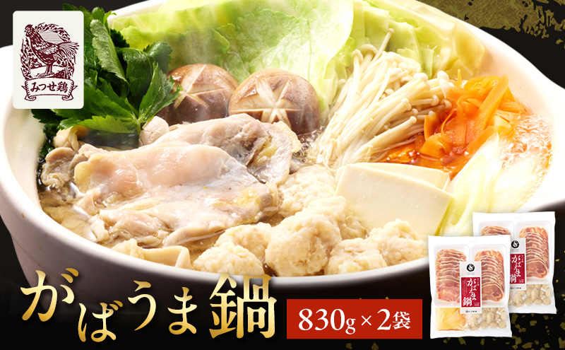 鍋 みつせ鶏 がばうま鍋 830g×2袋 鶏肉 お鍋