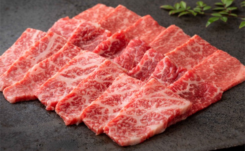 定期便 隔月 奇数月 年6回 佐賀牛が奇数月に届く定期便！！ 佐賀牛 牛肉 ※配送不可：北海道・沖縄・離島