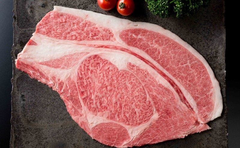 定期便 12ヶ月 佐賀牛 プレミアムコース 年 12回 牛肉 肉 お肉 お楽しみ ※配送不可：北海道、沖縄、離島