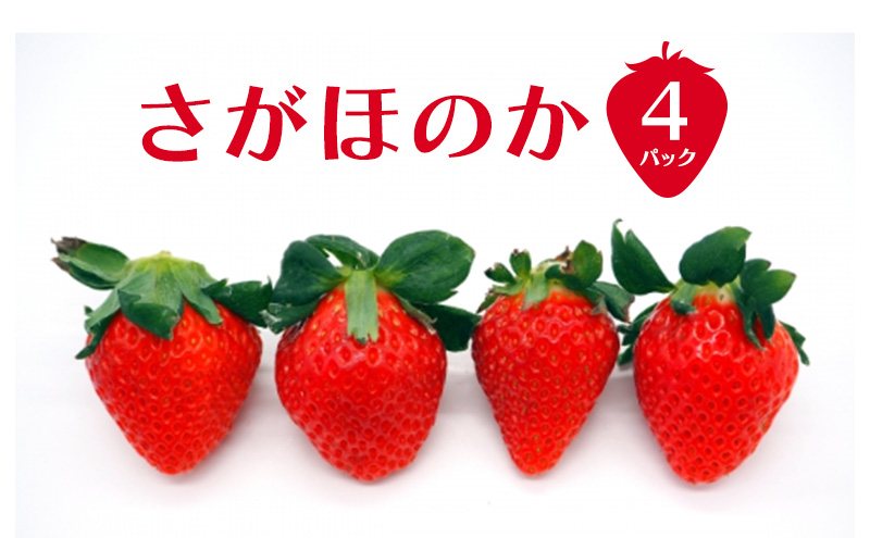 いちご さがほのか4パック 苺 イチゴ 果物 フルーツ デザート ※配送不可:離島