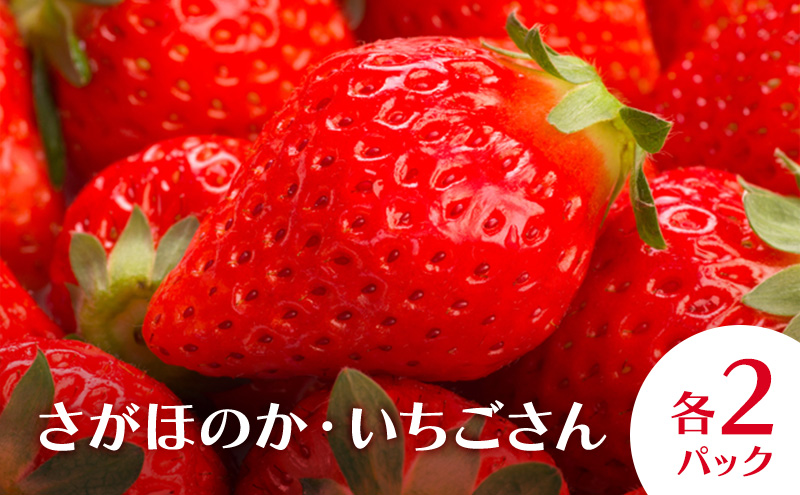 いちご 苺（さがほのか・いちごさん）各2パック 苺 イチゴ 果物 フルーツ デザート ※配送不可:離島