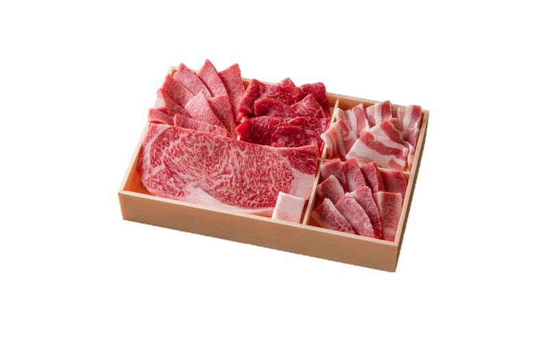 焼肉 佐賀産 和牛・豚 焼肉セット 550g (5種) 牛肉 豚肉 焼肉 お肉 肉 セット ※配送不可:離島