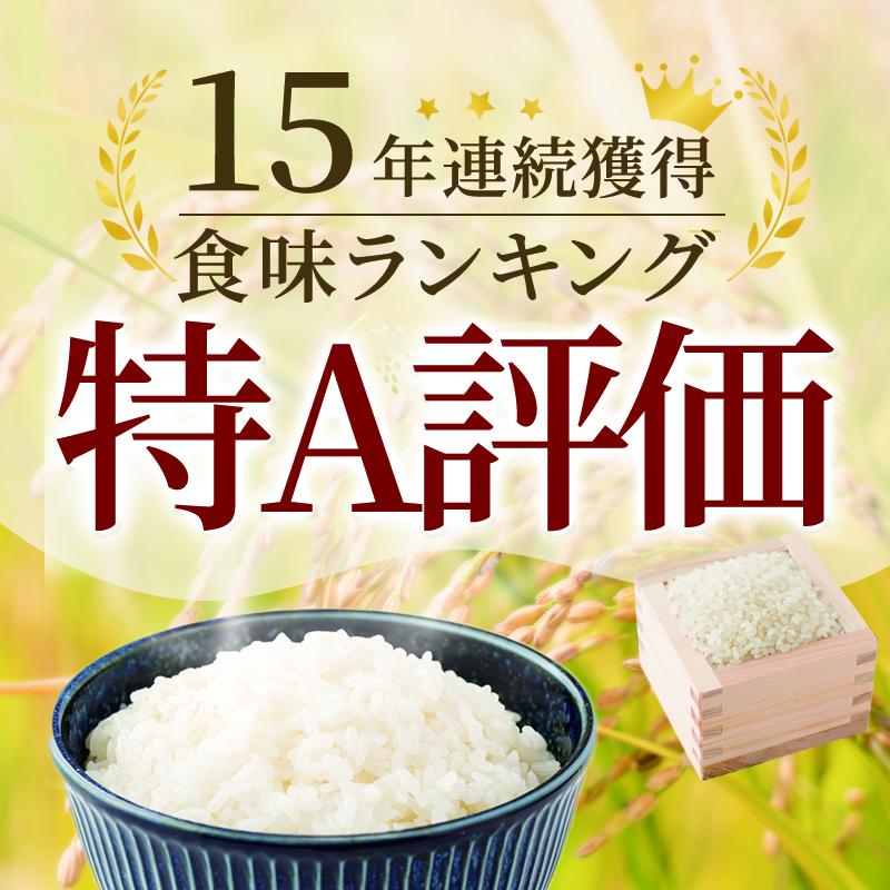 令和7年産 米 3kg さがびより 佐賀県産 特A お米 こめ コメ 白米 五つ星 お米マイスター厳選 弁当