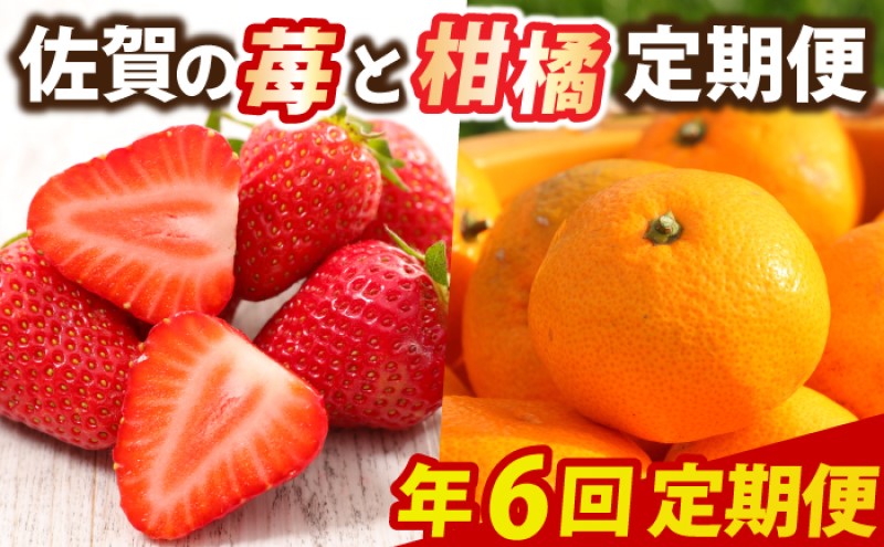 定期便 6回 佐賀の苺と柑橘定期便 いちご 柑橘 年6回 ※配送不可：北海道、沖縄県、離島