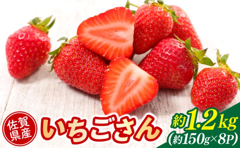 いちご 佐賀県産 いちごさん 約1.2kg (約150g×8パック) イチゴ 果物 ※配送不可：北海道、沖縄県、離島