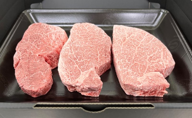 定期便 6回 佐賀牛 ヒレ ステーキ 500g 毎月コース 牛肉 ※配送不可：北海道、沖縄、離島