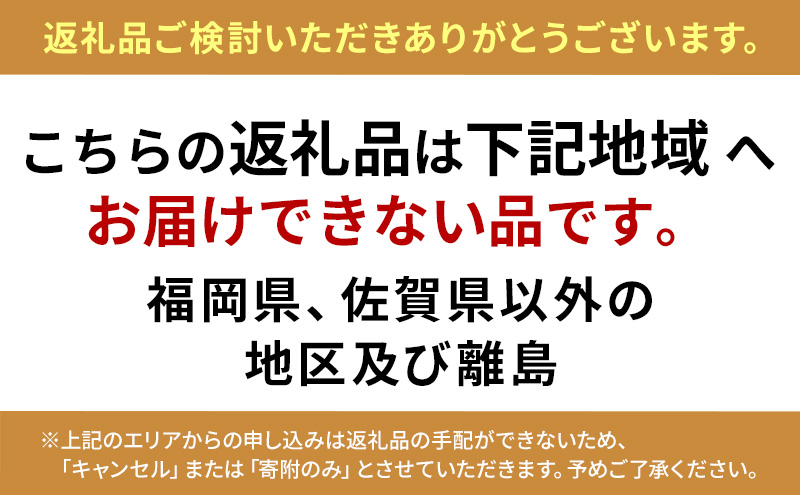 ベッド 電動ベッド グランマックス 3モーター GX-P302F シングルサイズ 固定脚 電動 レンタル 12ヶ月 ※配送不可:福岡県、佐賀県以外の地区及び離島