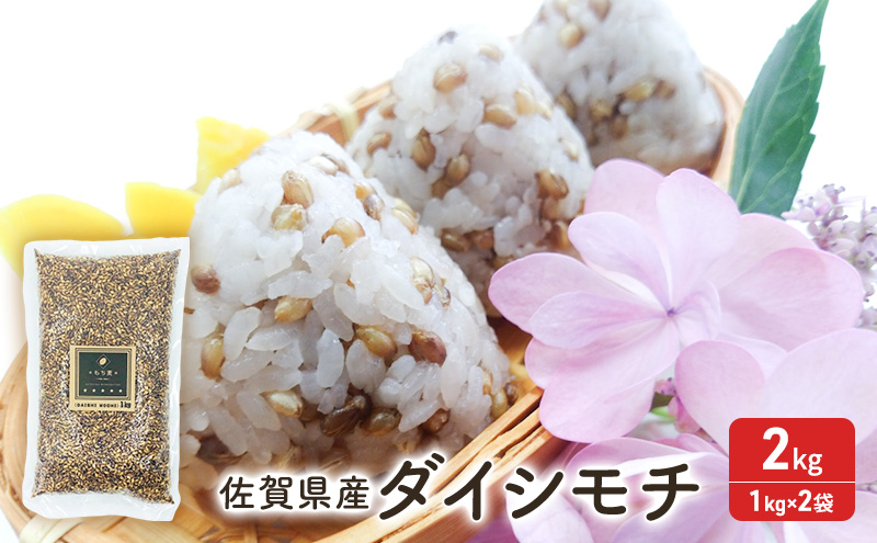 麦 もち麦 佐賀県産 『ダイシモチ』2kg (1kg×2袋) ご飯 白飯 お米 コメ こめ ※配送不可:離島