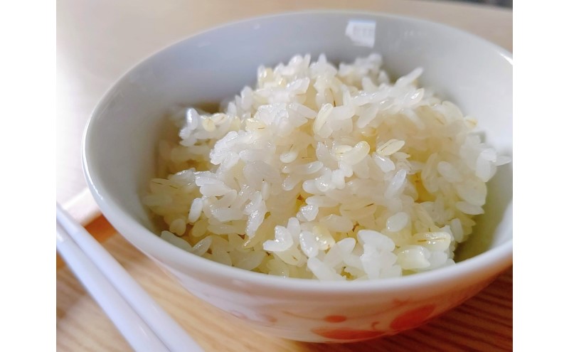 麊 ãã¡éºŠ äœè³çç£ ããã©ãªã¢ãã 2kg (1kgÃ2è¢) äºã€æãç±³ãã€ã¹ã¿ãŒå³éž ã飯 çœé£¯ ãç±³ ã³ã¡ ãã â»é
éäžå¯:é¢å³¶