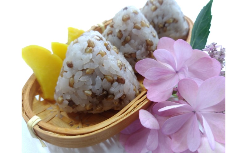 鮗ヲ 繧ゅ■鮗ヲ 鬟溘∋豈斐∋ 繧ュ繝ゥ繝ェ繝「繝1kg 繝繧、繧キ繝「繝1kg 莠斐▽譏溘♀邀ウ繝槭う繧ケ繧ソ繝シ蜴ウ驕ク 險2kg 縺秘」ッ 逋ス鬟ッ 縺顔アウ 繧ウ繝。 縺薙a 窶サ驟埼∽ク榊庄:髮「蟲カ