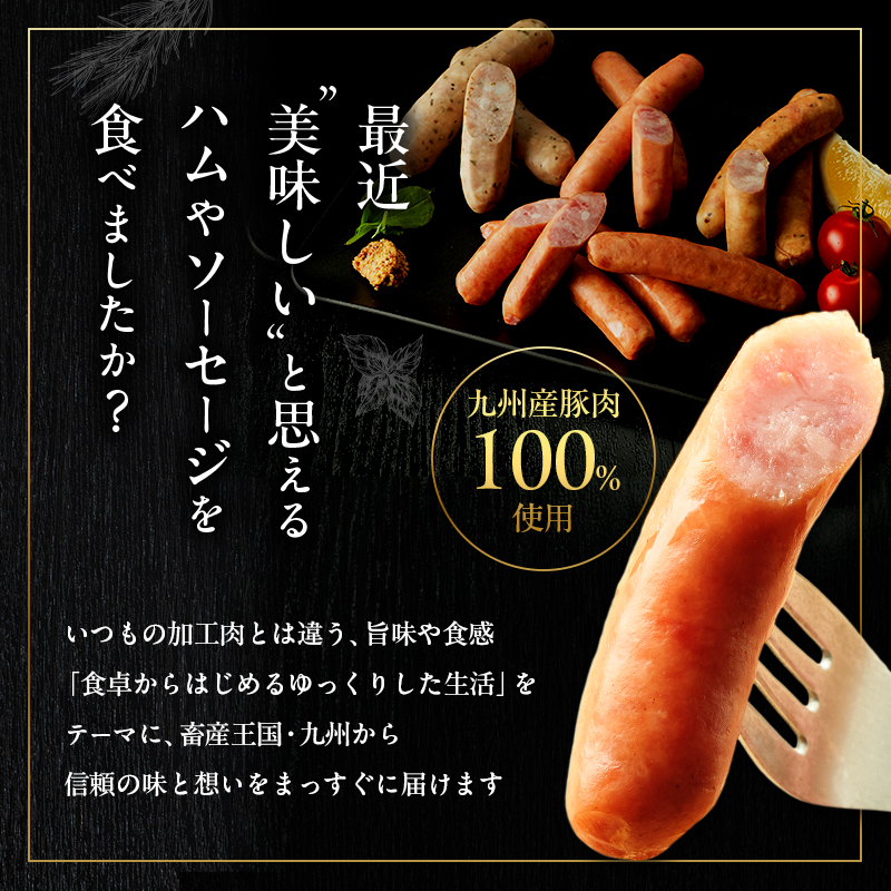 ãœãŒã»ãŒãž 4çš® ã»ãã ã¹ããŒã©ã€ãå·¥æ¿ è å å·¥å