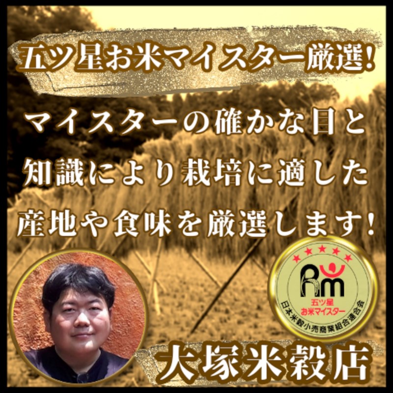 新米 先行予約 さがびより 佐賀県産 無洗米 20kg (5kg×4) 五つ星お米マイスター厳選 米 ※配送不可：離島