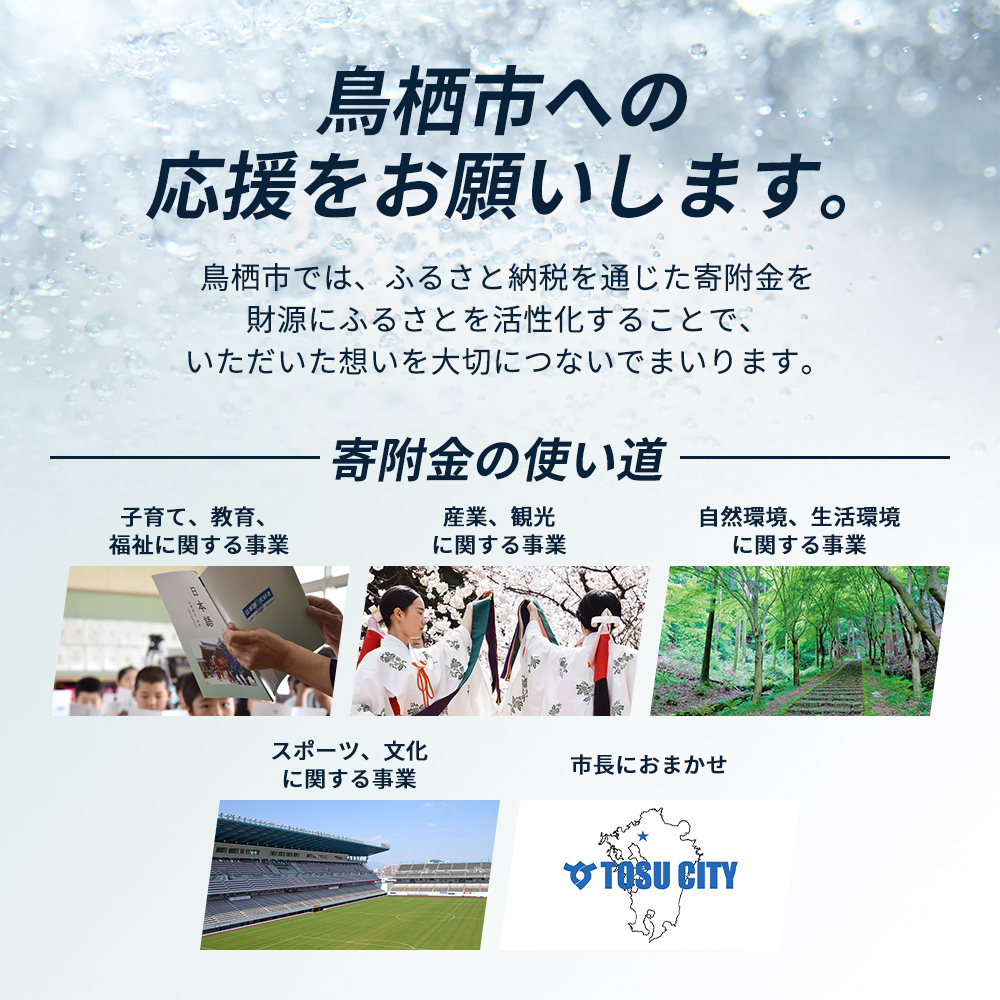 炭酸 アイリス史上最強炭酸 TANSAN X 450ml×24本 2ケース (計48本) 強炭酸 炭酸水 飲料