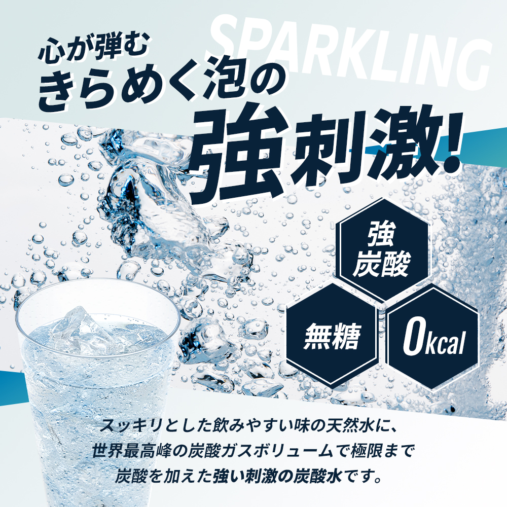 炭酸 アイリス史上最強炭酸 TANSAN X 450ml×24本 1ケース 強炭酸 炭酸水 飲料