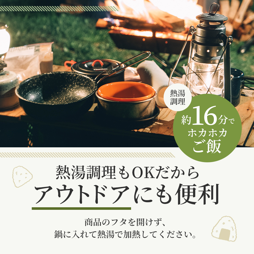 パックご飯 48食 150g 3食×8 2ケース ヒノヒカリ 低温製法米のおいしいごはん パックごはん 備蓄 非常用 キャンプ