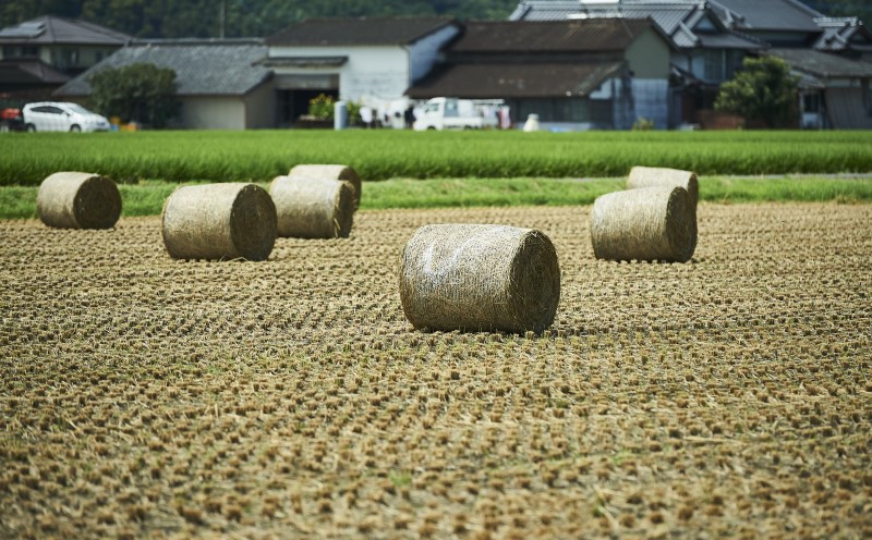 佐賀牛 希少部位 焼肉セット 450g ※配送不可：北海道、沖縄、離島