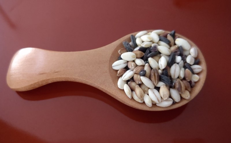 邀ウ 縲宣尅遨3縲 300gテ3陲 900g 荳臥ゥ邀ウ 菴占ウ逵檎肇 莠斐▽譏溘♀邀ウ繝槭う繧ケ繧ソ繝シ逶」菫ョ 鬟溽黄郢顔カュ 繧ュ繝ゥ繝ェ繝「繝 繝繧、繧キ繝「繝 髮醍ゥ縺秘」ッ 繧ゅ■鮗ヲ 鮟堤アウ縺秘」ッ 鮟堤アウ 縺顔アウ 繧ウ繝。 縺薙a 窶サ驟埼∽ク榊庄:髮「蟲カ