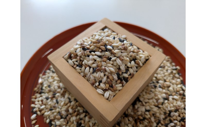 米 【雑穀5】 300g×3袋 900g 五穀米 佐賀県産 五つ星お米マイスター監修 食物繊維 キラリモチ ダイシモチ 雑穀ご飯 もち麦 黒米ご飯 黒米 玄米 お米 コメ こめ ※配送不可:離島