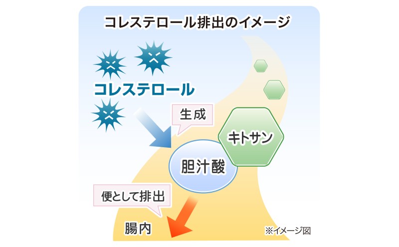 青汁 明日葉で作ったおいしい青汁 90g（3g×30袋）×3箱 特定保健用食品 コレステロール 野菜不足 抹茶風味 飲料 飲み物 セット