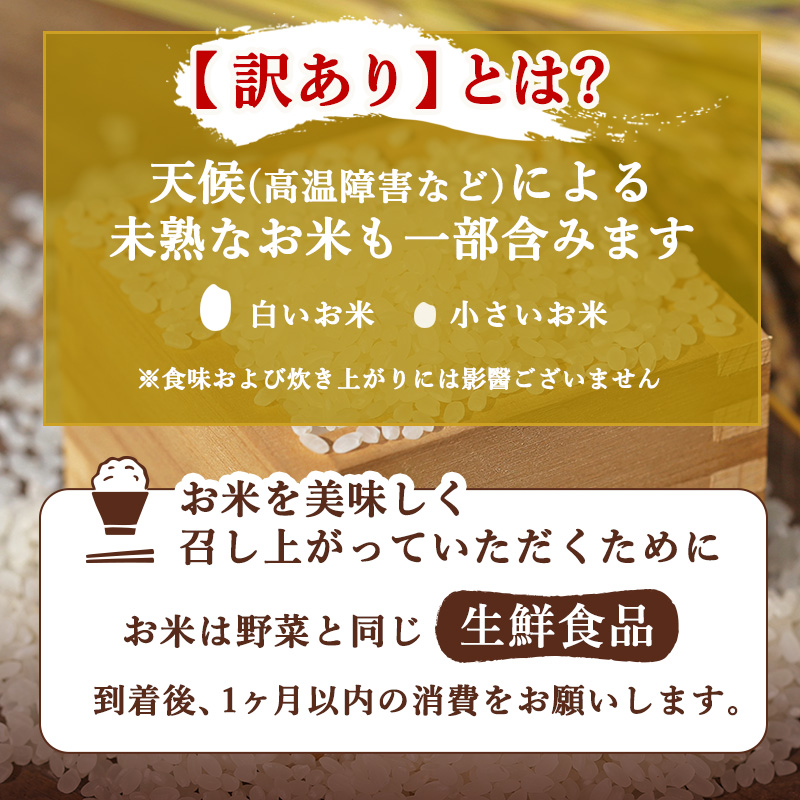 定期便 3ヶ月 訳あり 米 鳥栖市ふるさと納税限定がばいU米(うまい) 【無洗米】 5kg 五つ星お米マイスター厳選 (お徳用ブレンド米) 家庭用 生活応援 ※配送不可：離島