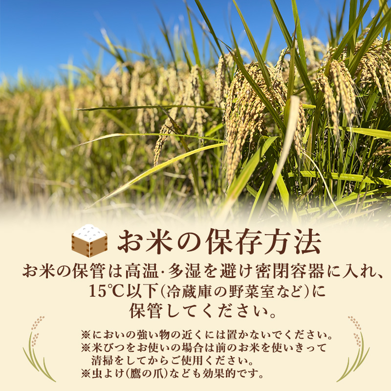 定期便 3ヶ月 訳あり 米 鳥栖市ふるさと納税限定がばいU米(うまい) 【無洗米】 5kg 五つ星お米マイスター厳選 (お徳用ブレンド米) 家庭用 生活応援 ※配送不可：離島