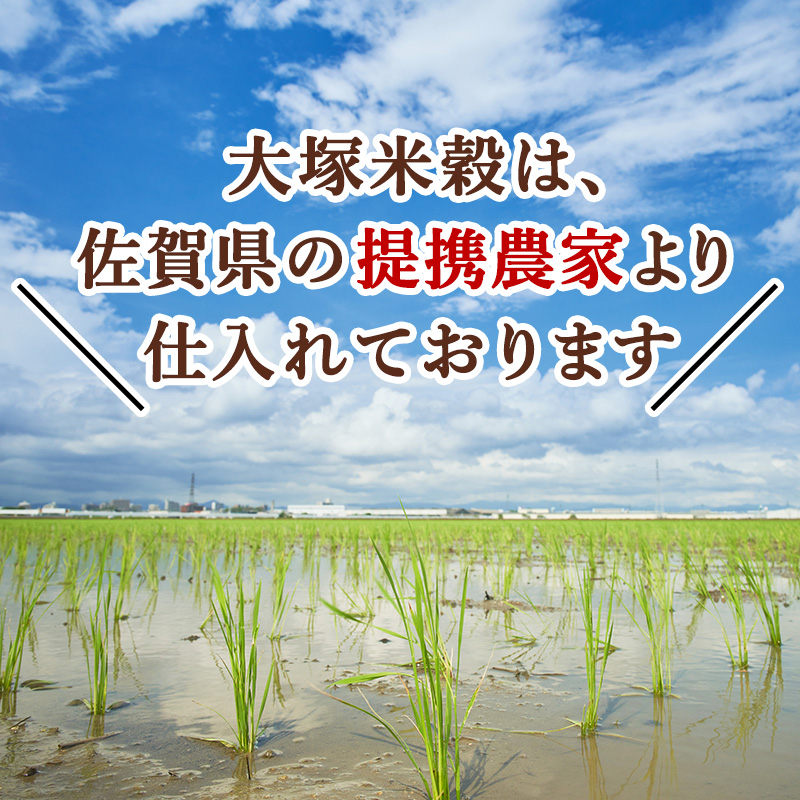 定期便 3ヶ月 訳あり 米 鳥栖市ふるさと納税限定がばいU米(うまい) 【無洗米】 5kg 五つ星お米マイスター厳選 (お徳用ブレンド米) 家庭用 生活応援 ※配送不可：離島