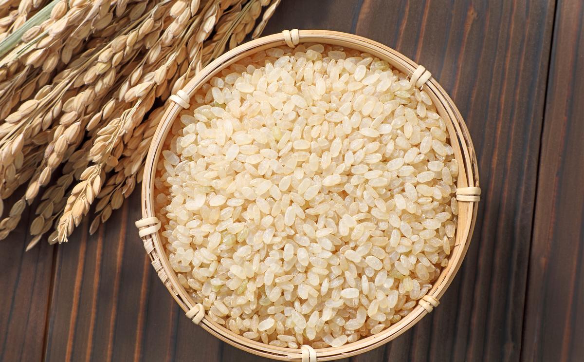 玄米 夢しずく 5kg 五つ星お米マイスター厳選！ 米 お米 ※配送不可：離島