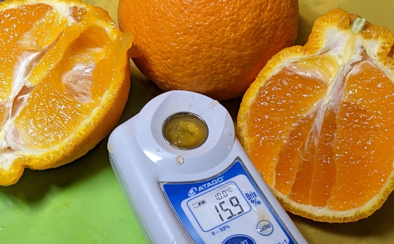 佐賀みかん ジャム “味香デコ” マーマレード 270g 3個セット