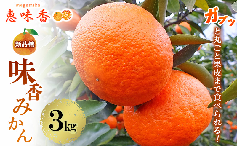 佐賀みかん みかん 味香みかん 3kg 新品種 果皮も美味しく食べられる！フルーツ ※配送不可：離島