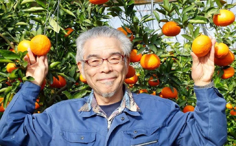 佐賀みかん みかん 味香みかん 3kg 新品種 果皮も美味しく食べられる！フルーツ ※配送不可：離島