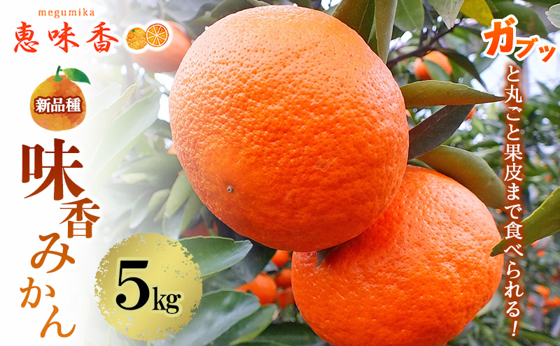 佐賀みかん みかん 味香みかん 5kg 新品種 果皮も美味しく食べられる！フルーツ ※配送不可：離島