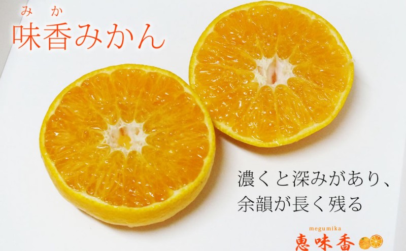 佐賀みかん ワイン “味香ワイン” 辛口 赤仕立て・白仕立て 720ml 各1本 お酒 アルコール