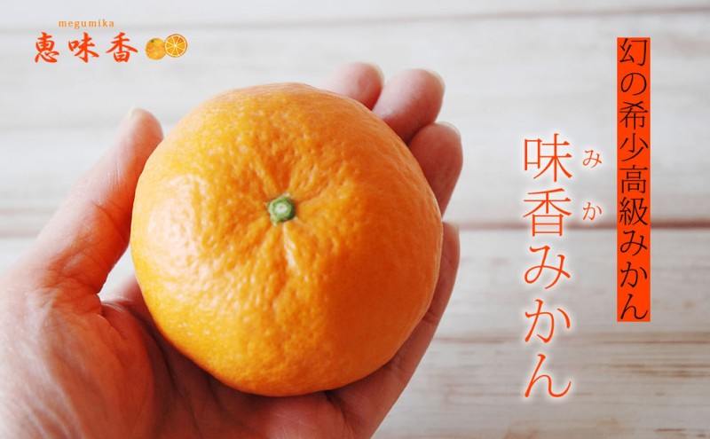 佐賀みかん ワイン “味香ワイン” 甘口 赤仕立て・白仕立て 720ml 各1本 お酒 アルコール