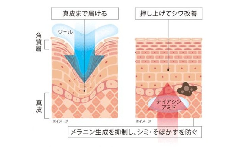 定期便 6ヶ月 日本第一製薬 アルジュール薬用ホワイトリンクルジェル 美容 ※配送不可：沖縄県、離島
