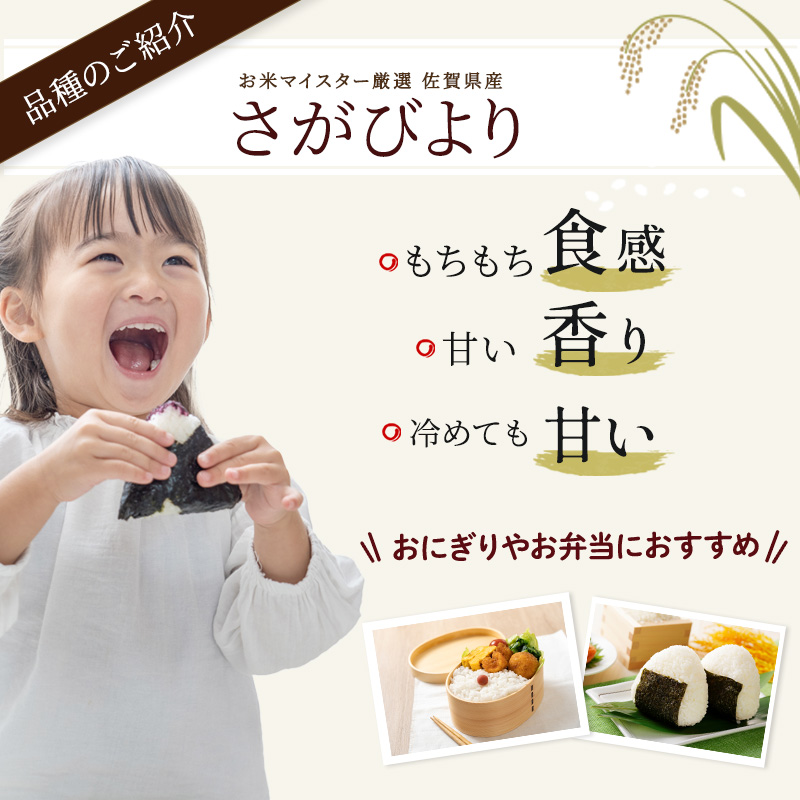 ≪ 定期便 6回 計 36kg ≫ 令和7年産 無洗米 36kg ( 6kg × 6回 ) さがびより 佐賀県産 特A お米 こめ コメ 白米 五つ星 お米マイスター厳選 弁当
