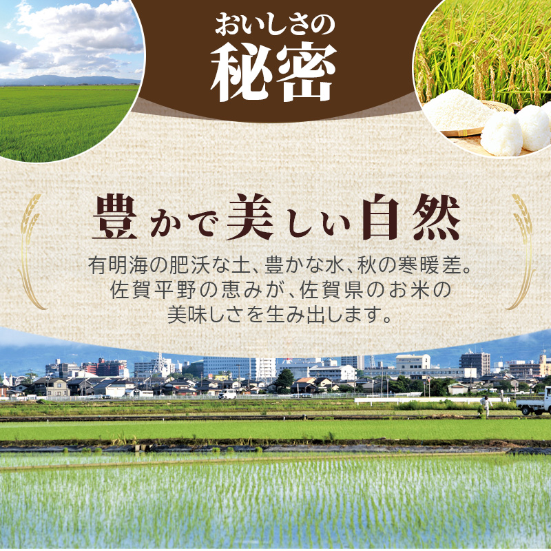 ≪ 定期便 3回 計 9kg ≫ 令和7年産 無洗米 9kg ( 3kg × 3回 ) さがびより 佐賀県産 特A 米 お米 こめ コメ 白米 五つ星 お米マイスター厳選 弁当