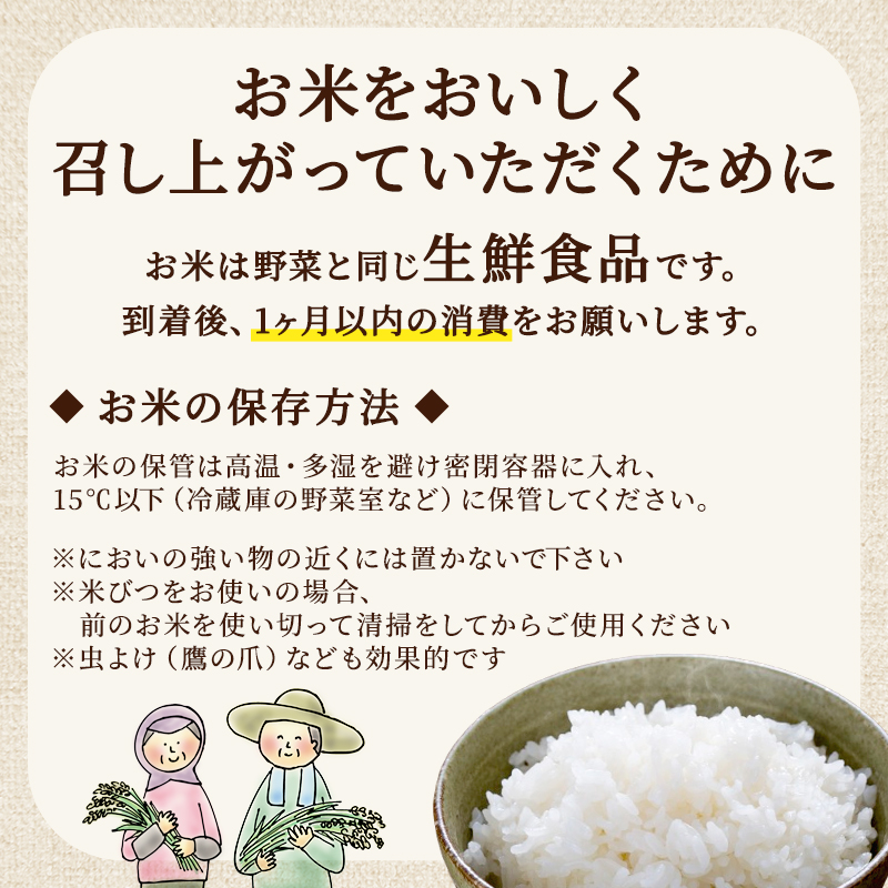 ≪ 定期便 3回 計 18kg ≫ 令和7年産 無洗米 18kg (6kg × 3回 ) さがびより 佐賀県産 特A お米 こめ コメ 白米 五つ星 お米マイスター厳選 弁当