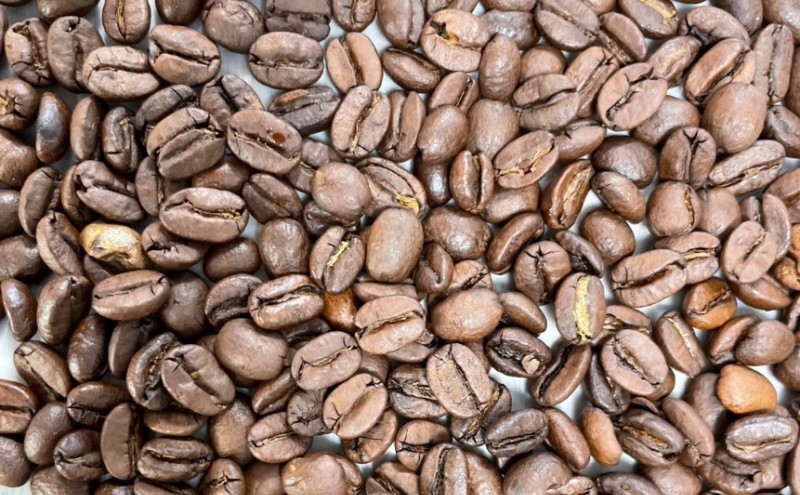 【厳選2種】ビター飲み比べセット・自家焙煎コーヒー（豆）(ブラジル250g、コロンビア241g)