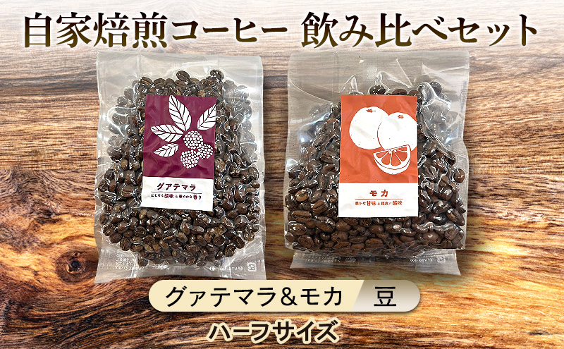 【厳選2種】芳醇なフルーティー飲み比べセット・自家焙煎コーヒー（ハーフサイズ豆）(グァテマラ111g、モカ143g) 珈琲