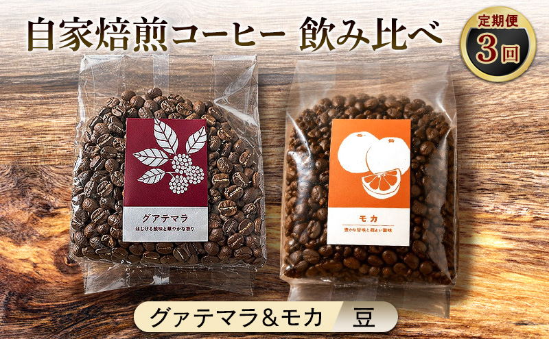 【厳選2種の3ヶ月定期便】芳醇なフルーティー飲み比べセット・自家焙煎コーヒー（豆）(グァテマラ221g、モカ285g) 珈琲