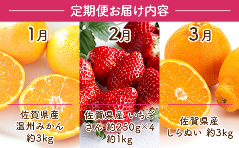 定期便3ヶ月 旬の果物 定期便 3回  果物 フルーツ デザート 2027年1月から順次発送 ※配送不可:離島