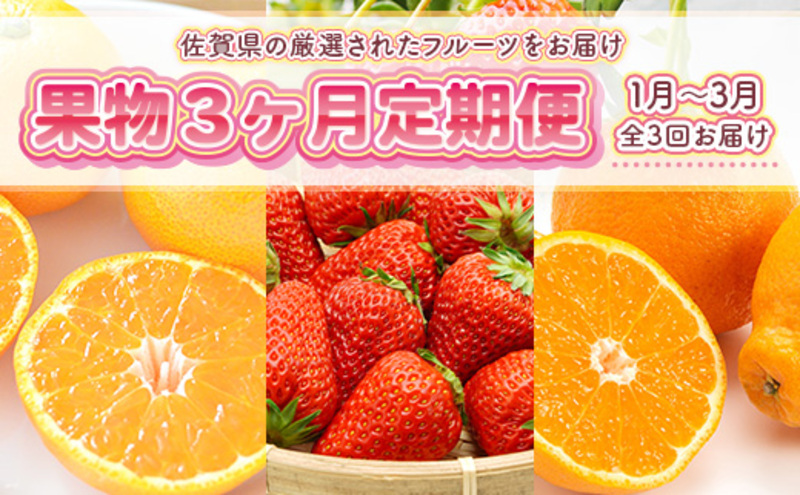 定期便3ヶ月 旬の果物 定期便 3回  果物 フルーツ デザート 2027年1月から順次発送 ※配送不可:離島