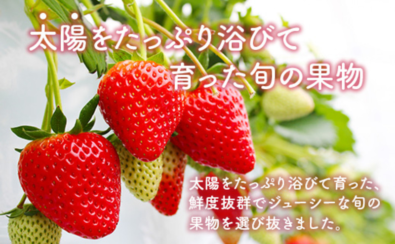 定期便3ヶ月 旬の果物 定期便 3回  果物 フルーツ デザート 2027年1月から順次発送 ※配送不可:離島