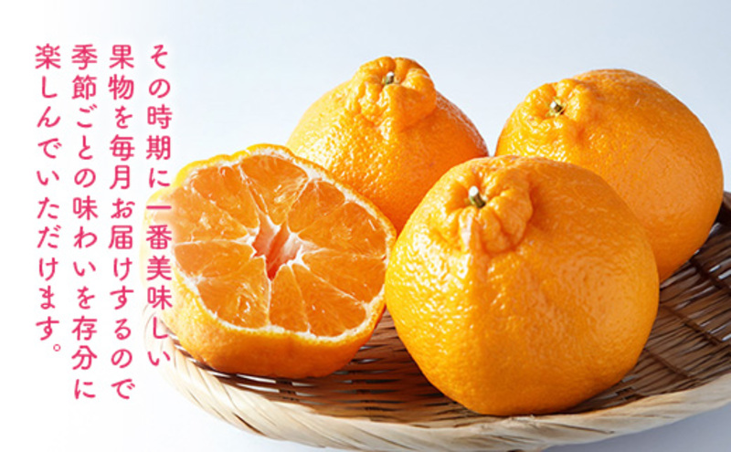 定期便3ヶ月 旬の果物 定期便 3回  果物 フルーツ デザート 2027年1月から順次発送 ※配送不可:離島