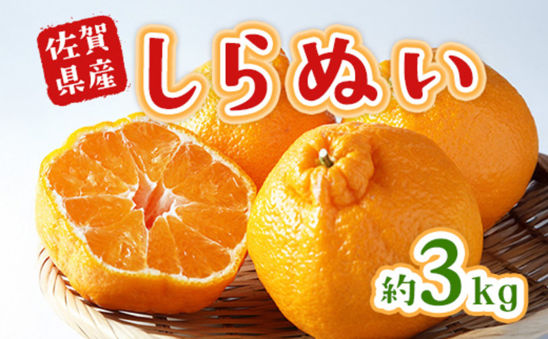 不知火 しらぬい 約3kg 柑橘 みかん ジュース ゼリー シャーベット 果物 フルーツ デザート ※配送不可:離島