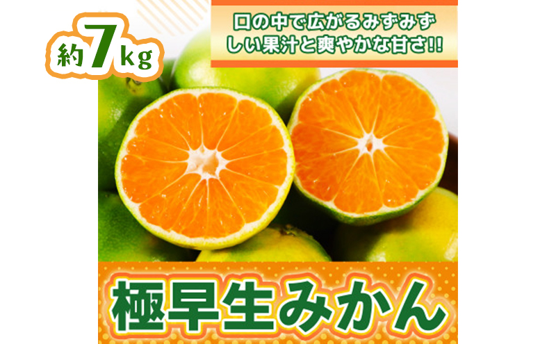 みかん 佐賀県産 極早生みかん7kg 果物 フルーツ ミカン デザート ※配送不可:離島
