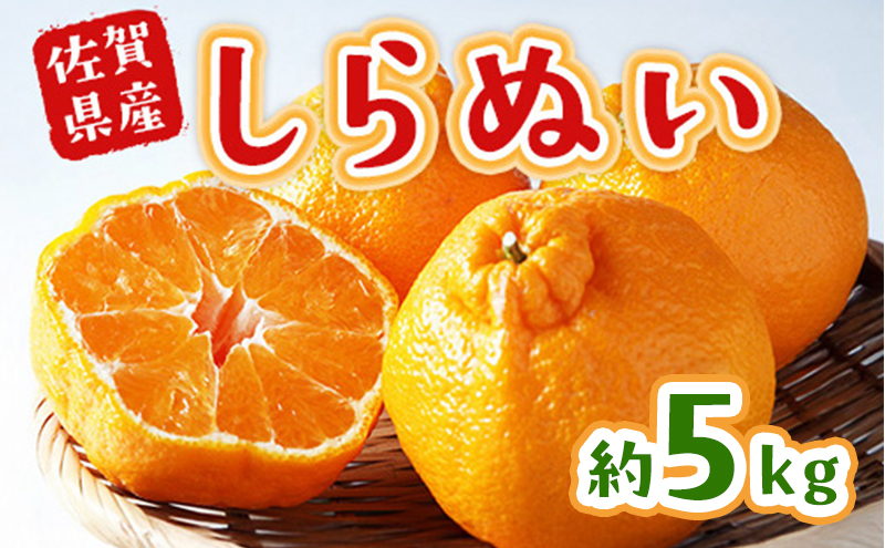 不知火 しらぬい 約5kg 柑橘 みかん ジュース ゼリー シャーベット 果物 フルーツ デザート ※配送不可:離島