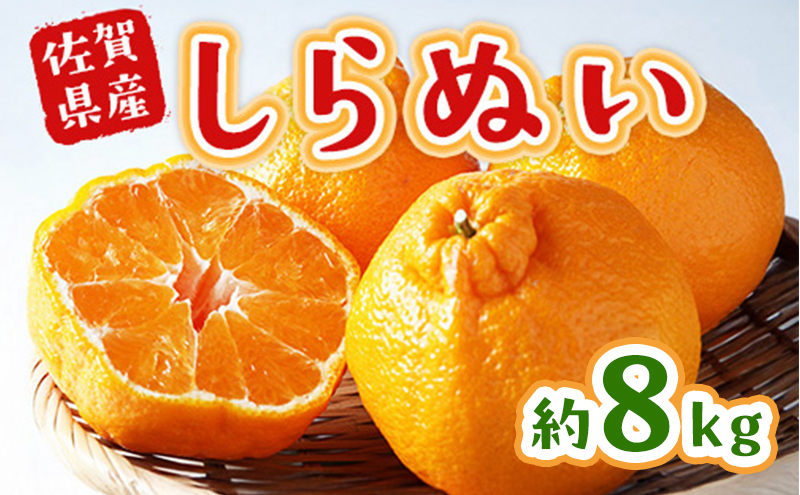 不知火 しらぬい 約8kg 柑橘 みかん ジュース ゼリー シャーベット 果物 フルーツ デザート ※配送不可:離島