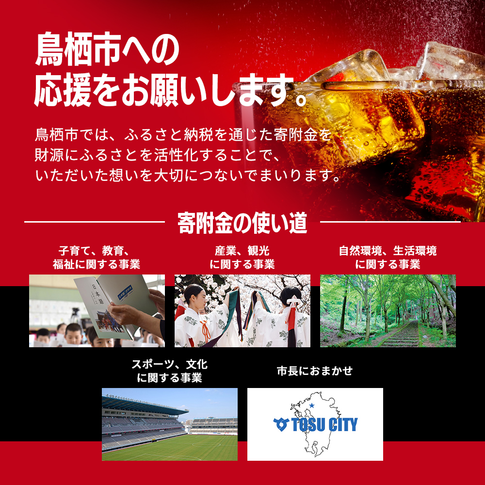 定期便 3ヶ月 コカ・コーラ ゼロシュガー 500ml PET 1ケース 24本 ペットボトル コーラ 飲料 3回 お楽しみ 